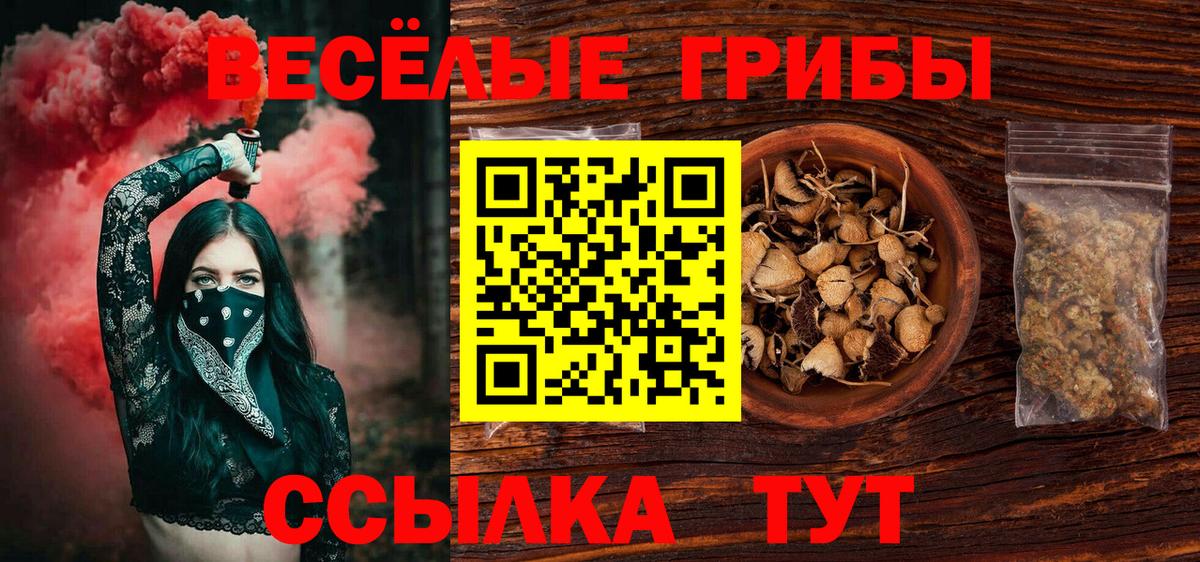 Псилоцибиновые грибы прущие грибы  Вход с VPN  Лесосибирск 