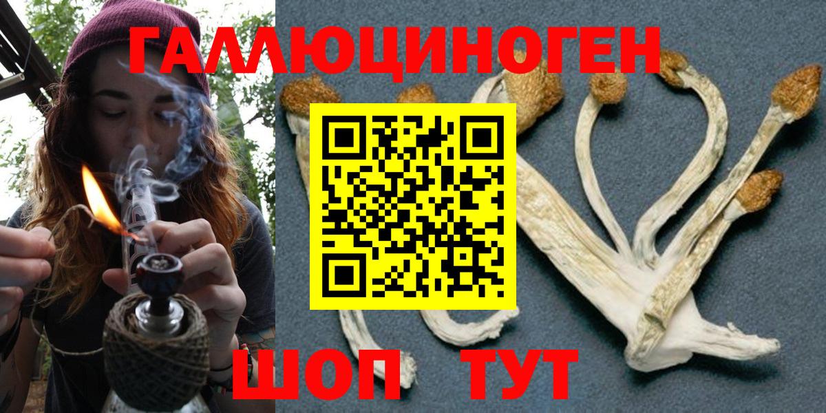 Галлюциногенные грибы GOLDEN TEACHER Лесосибирск